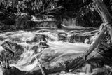 Laughing Water Falls IV