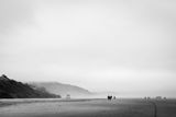 _7RV9334.jpg