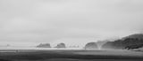 _7RV9340.jpg