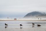 _7RV9350.jpg