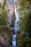 Multnomah Falls III