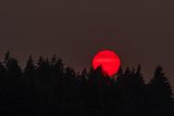 _7RV9909.jpg