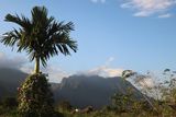 late afternoon.jpg