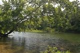 (20240716_155605_ooc_z50)