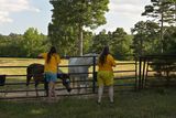 (20240718_183847_ooc_z50)