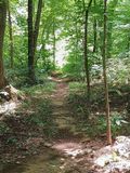 Path at Archey Fork