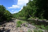 Branch Hollow