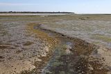 53 Vacances en Charente Maritime - Photos Canon IMG_7453_DxO Pbase.jpg