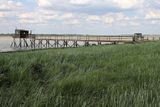 780 Vacances en Charente Maritime - Photos Canon IMG_8199_DxO Pbase.jpg
