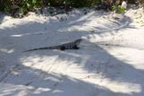 Cancun - 16.jpeg