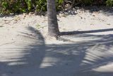 Cancun - 17.jpeg