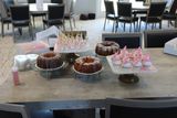 Baby Shower 092824 (10).JPG