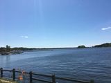 IMG_2479.JPG