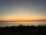 IMG_2534.JPG