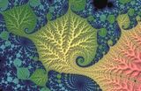 Leaf veins