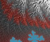 Fractals have Ridges.jpg