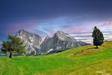 alpe siusi07sa.jpg