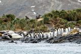 Lining Up to Jump In