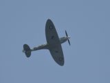 Spitfire