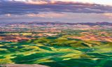 View From Steptoe Butte