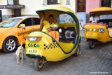 Coco taxi drivers
