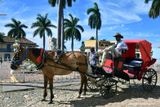 Very stylish horse drawn carriage and its owner