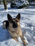 joni-snow-dec22.jpg