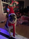 joni-xmaseve22.jpg