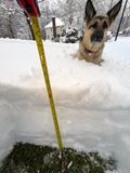 13inches.jpg