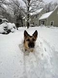 feb24storm3.jpg