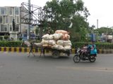 Amritsar