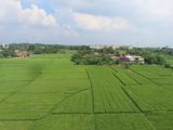 view from the Whoosh train between Jakarta and Bandung