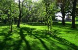 Wisbech Park in Spring sunshine.jpg
