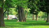 Serene Central park