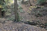 The Dalzell Burn, Motherwell