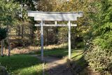 The Japanese Garden in the Dalzell Wood, Motherwell