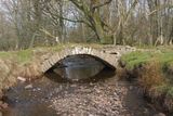 Bridge over the Stuc-an-t-Sagairt Burn, Loch Lomond NNR