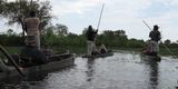 Makoro trip on the Khwai River