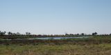 Okavango flood plain at Moremi