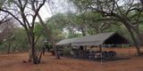 Our camp at Savuti