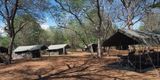 Our camp at Savuti