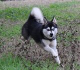 IMG_5934.JPG