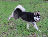 IMG_5937.JPG