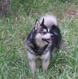 IMG_0128.JPG