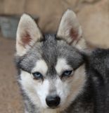 IMG_1849.JPG