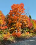 Troutspawn Lake Road