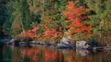 Otter Lake Reflections