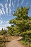 Petroglyphs Provincial Park