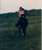 Horses0205.jpg