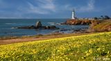 Pigeon Point Lighthouse